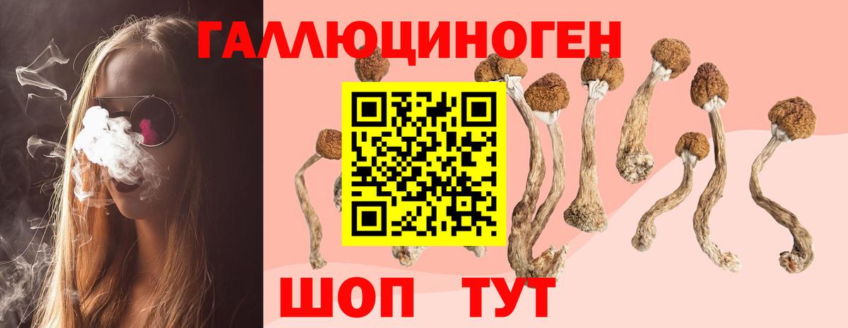 Псилоцибиновые грибы мицелий Набережные Челны
